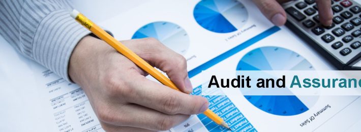 audit